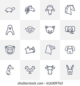 Set Of 16 Beast Outline Icons Set.Collection Of Monkey, Giraffe, Rhino And Other Elements.