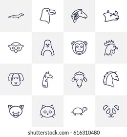 Set Of 16 Beast Outline Icons Set.Collection Of Penguin, Lizard, Turtle And Other Elements.