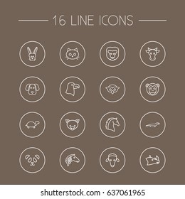 Set Of 16 Beast Outline Icons Set.Collection Of Turtle, Cat, Horse And Other Elements.