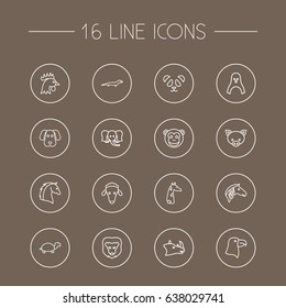 Set Of 16 Beast Outline Icons Set.Collection Of Rhino, Mammal, Lion And Other Elements.