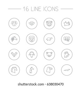 Set Of 16 Beast Outline Icons Set.Collection Of Rhino, Giraffe, Horse And Other Elements.