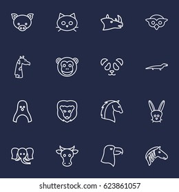 Set Of 16 Beast Outline Icons.Collection Of Penguin, Mammal, Rabbit And Other Elements.