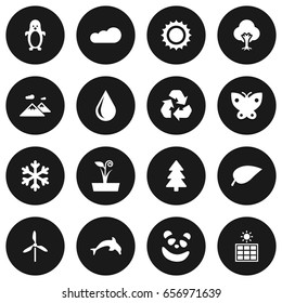 Set Of 16 Bio Icons Set.Collection Of Bear, Polar Bird, Foliage And Other Elements.