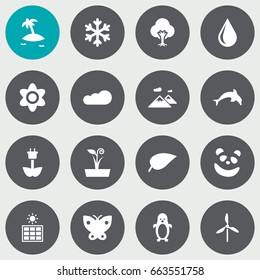Set Of 16 Bio Icons Set.Collection Of Winter Snow, Tree, Bloom And Other Elements.