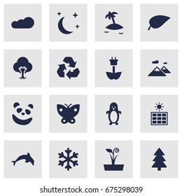 Set Of 16 Bio Icons Set.Collection Of Polar Bird, Midnight, Moth And Other Elements.