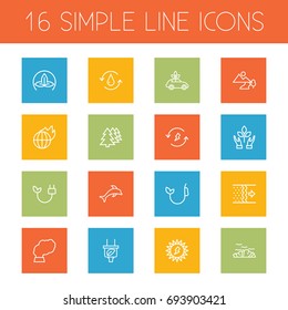 Set Of 16 Bio Outline Icons Set.Collection Of Solar, Global Warming, Dolphin And Other Elements.