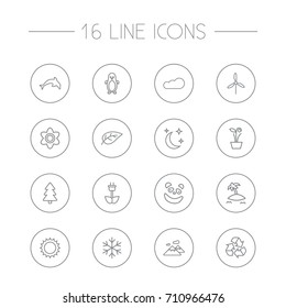 Set Of 16 Bio Outline Icons Set.Collection Of Cloud, Panda, Fir Tree Elements.