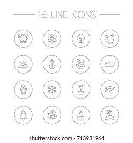 Set Of 16 Bio Outline Icons Set.Collection Of Cloud, Snowflake, Fir Tree And Other Elements.