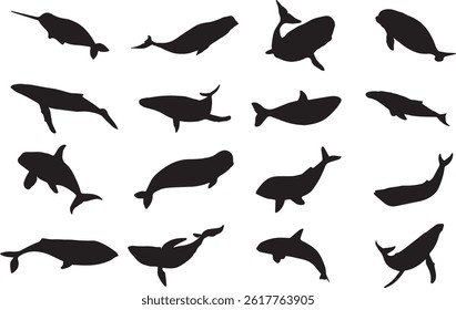 Set of 16 black silhouettes of whales