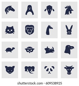Set Of 16 Brute Icons Set.Collection Of Bear, Rhinoceros, Tomcat And Other Elements.