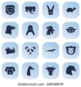 Set Of 16 Brute Icons Set.Collection Of Hound, Bird, King And Other Elements.