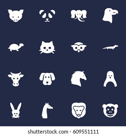 Set Of 16 Brute Icons Set.Collection Of Tortoise, Tortoise, King And Other Elements.
