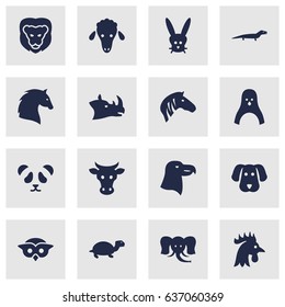 Set Of 16 Brute Icons Set.Collection Of Aquila, Steed, Hound And Other Elements.