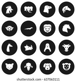 Set Of 16 Brute Icons Set.Collection Of Hog, Ape, Horse And Other Elements.