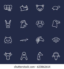 Set Of 16 Brute Outline Icons Set.Collection Of Mammal, Turtle, Owl And Other Elements.