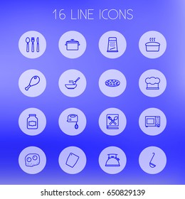Set Of 16 Cooking Outline Icons Set.Collection Of Kettle, Chicken Leg, Microwave And Other Elements.