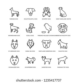 Set Of 16 Dogs line icons such as Russian Toy dog, Samoyed YORKIES Schnauzer Shar Pei Shetland Sheepdog Whippet editable stroke icon pack, pixel perfect