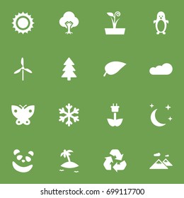 Set Of 16 Ecology Icons Set.Collection Of Foliage, Wind Energy, Bear And Other Elements.