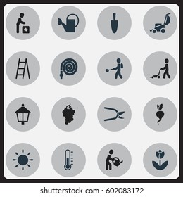 Set Of 16 Editable Agriculture Icons. Includes Symbols Such As Radish, Water The Flower, Streetlight And More. Can Be Used For Web, Mobile, UI And Infographic Design.