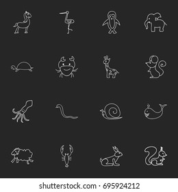 Set Of 16 Editable Animal Doodles. Includes Symbols Such As Tentacle, Rat, Tortoise And More. Can Be Used For Web, Mobile, UI And Infographic Design.