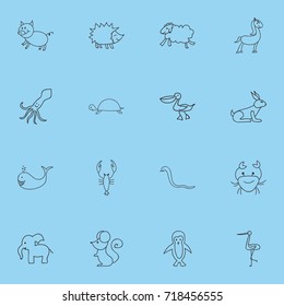 Set Of 16 Editable Animal Doodles. Includes Symbols Such As Ewe, Lobster, Cachalot And More. Can Be Used For Web, Mobile, UI And Infographic Design.