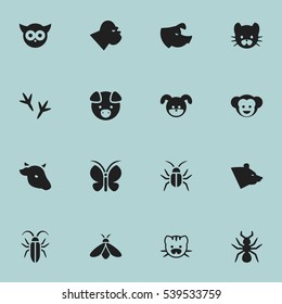Set Of 16 Editable Animal Icons. Includes Symbols Such As Bird, Feline, Honey And More. Can Be Used For Web, Mobile, UI And Infographic Design.