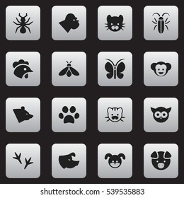 Set Of 16 Editable Animal Icons. Includes Symbols Such As Honey, Feline, Grizzly And More. Can Be Used For Web, Mobile, UI And Infographic Design.