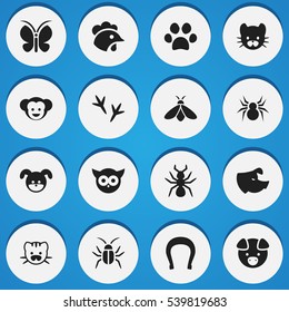 Set Of 16 Editable Animal Icons. Includes Symbols Such As Feline, Footprint, Baboon And More. Can Be Used For Web, Mobile, UI And Infographic Design.
