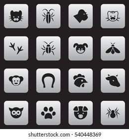 Set Of 16 Editable Animal Icons. Includes Symbols Such As Footprint, Bird, Hog And More. Can Be Used For Web, Mobile, UI And Infographic Design.