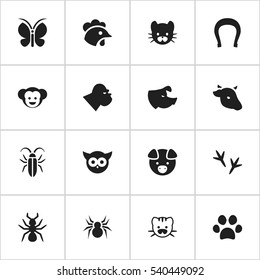 Set Of 16 Editable Animal Icons. Includes Symbols Such As Footprint, Rooster, Sow And More. Can Be Used For Web, Mobile, UI And Infographic Design.