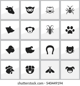Set Of 16 Editable Animal Icons. Includes Symbols Such As Baboon, Beast, Puppy And More. Can Be Used For Web, Mobile, UI And Infographic Design.