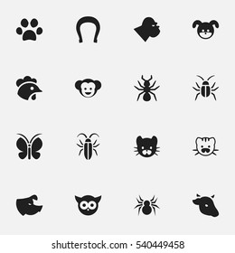 Set Of 16 Editable Animal Icons. Includes Symbols Such As Sow, Arachind, Bedbug And More. Can Be Used For Web, Mobile, UI And Infographic Design.