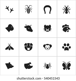 Set Of 16 Editable Animal Icons. Includes Symbols Such As Sow, Baboon, Bedbug And More. Can Be Used For Web, Mobile, UI And Infographic Design.