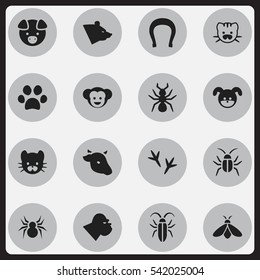 Set Of 16 Editable Animal Icons. Includes Symbols Such As Puppy, Grizzly, Bull And More. Can Be Used For Web, Mobile, UI And Infographic Design.