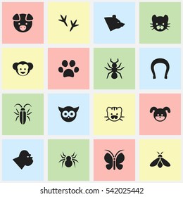 Set Of 16 Editable Animal Icons. Includes Symbols Such As Grizzly, Forepaw, Arachind And More. Can Be Used For Web, Mobile, UI And Infographic Design.