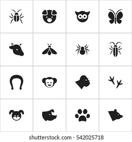 Set Of 16 Editable Animal Icons. Includes Symbols Such As Cockroach, Arachind, Footprint And More. Can Be Used For Web, Mobile, UI And Infographic Design.