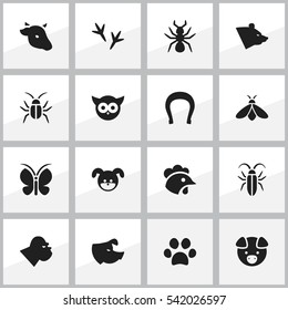 Set Of 16 Editable Animal Icons. Includes Symbols Such As Chimpanzee, Bug, Bedbug And More. Can Be Used For Web, Mobile, UI And Infographic Design.