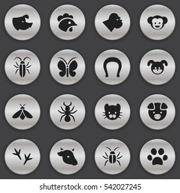 Set Of 16 Editable Animal Icons. Includes Symbols Such As Chimpanzee, Feline, Bug And More. Can Be Used For Web, Mobile, UI And Infographic Design.