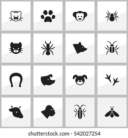 Set Of 16 Editable Animal Icons. Includes Symbols Such As Honey, Bug, Chimpanzee And More. Can Be Used For Web, Mobile, UI And Infographic Design.