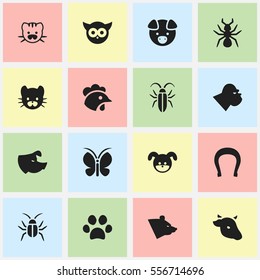 Set Of 16 Editable Animal Icons. Includes Symbols Such As Bedbug, Forepaw, Rooster And More. Can Be Used For Web, Mobile, UI And Infographic Design.