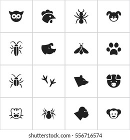 Set Of 16 Editable Animal Icons. Includes Symbols Such As Beast, Hog, Rooster And More. Can Be Used For Web, Mobile, UI And Infographic Design.