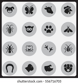 Set Of 16 Editable Animal Icons. Includes Symbols Such As Forepaw, Footprint, Chimpanzee And More. Can Be Used For Web, Mobile, UI And Infographic Design.