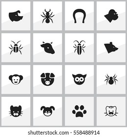 Set Of 16 Editable Animal Icons. Includes Symbols Such As Bug, Cockroach, Bull And More. Can Be Used For Web, Mobile, UI And Infographic Design.