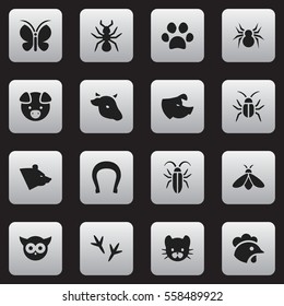 Set Of 16 Editable Animal Icons. Includes Symbols Such As Rooster, Forepaw, Arachind And More. Can Be Used For Web, Mobile, UI And Infographic Design.