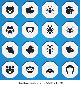 Set Of 16 Editable Animal Icons. Includes Symbols Such As Grizzly, Chimpanzee, Hog And More. Can Be Used For Web, Mobile, UI And Infographic Design.