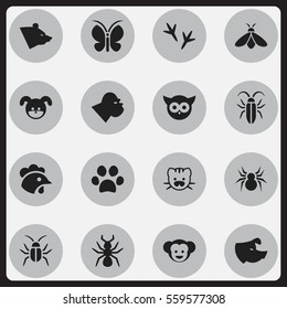 Set Of 16 Editable Animal Icons. Includes Symbols Such As Moth, Arachind, Grizzly And More. Can Be Used For Web, Mobile, UI And Infographic Design.