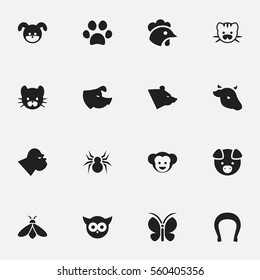 Set Of 16 Editable Animal Icons. Includes Symbols Such As Hog, Moth, Bull And More. Can Be Used For Web, Mobile, UI And Infographic Design.