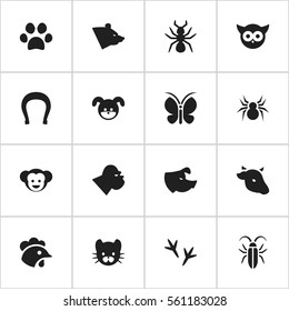 Set Of 16 Editable Animal Icons. Includes Symbols Such As Forepaw, Arachind, Grizzly And More. Can Be Used For Web, Mobile, UI And Infographic Design.