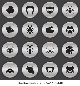 Set Of 16 Editable Animal Icons. Includes Symbols Such As Chimpanzee, Arachind, Baboon And More. Can Be Used For Web, Mobile, UI And Infographic Design.