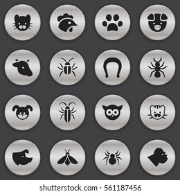 Set Of 16 Editable Animal Icons. Includes Symbols Such As Bedbug, Puppy, Arachind And More. Can Be Used For Web, Mobile, UI And Infographic Design.